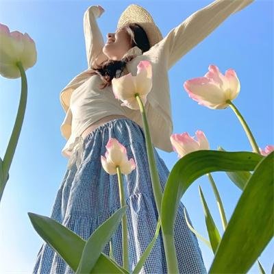 叛碟