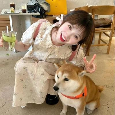 出走
